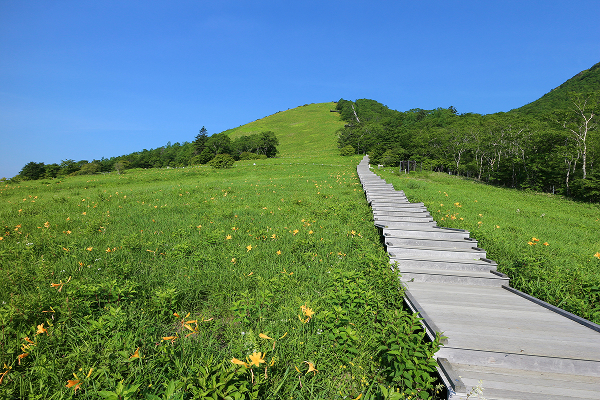 霧降高原フリーパスで行く天空回廊絶景コース
