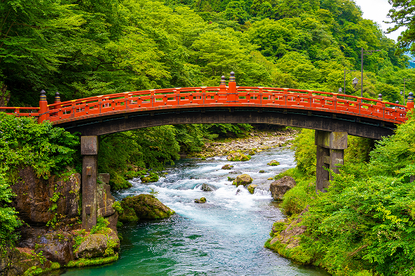 世界遺産手形で行く世界遺産(日光の社寺)満喫コース