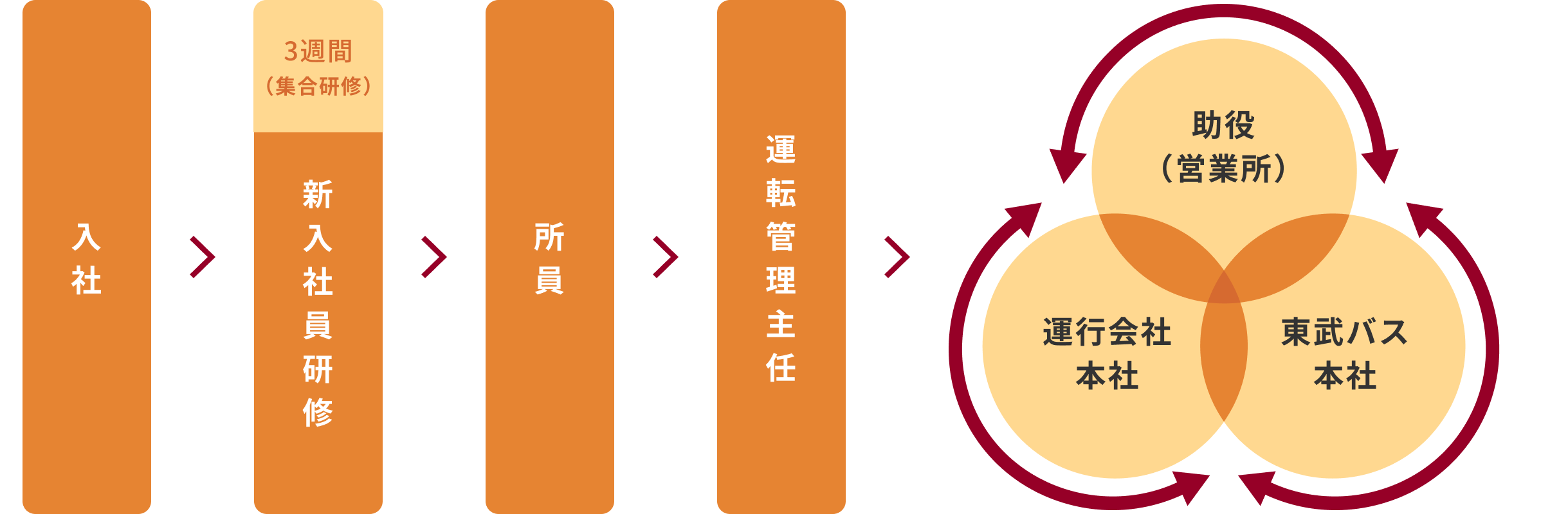 入社>3週間（集合研修）新入社員研修>所員>運転管理主任>助役（営業所）,運行会社本社,東武バス本社